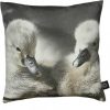bynord baby Ducklings – liten pute