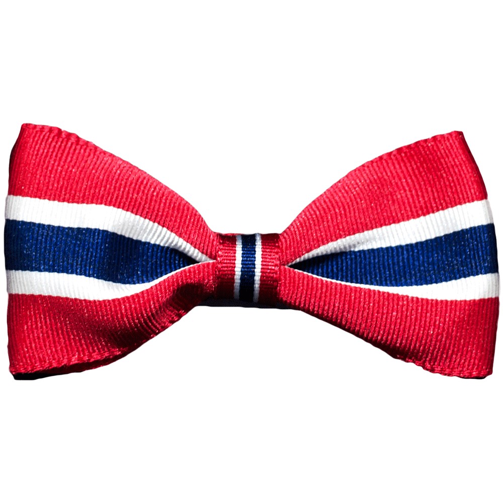 886d9b4b2f80f2e48ab067c1ecd07518-image