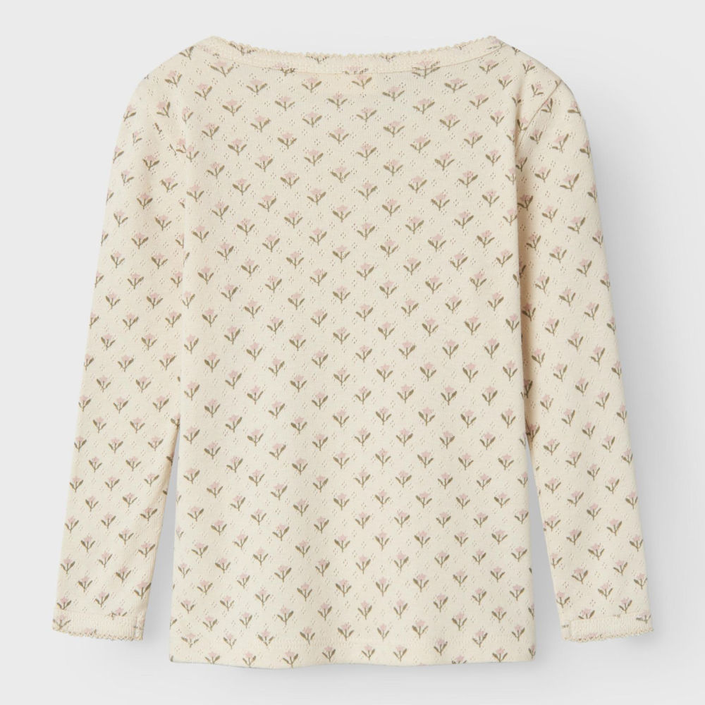 13227664_Turtledove_0022 (1)