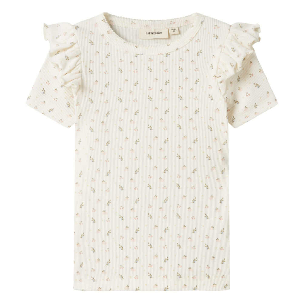 F_13239022_M_4755587_Front