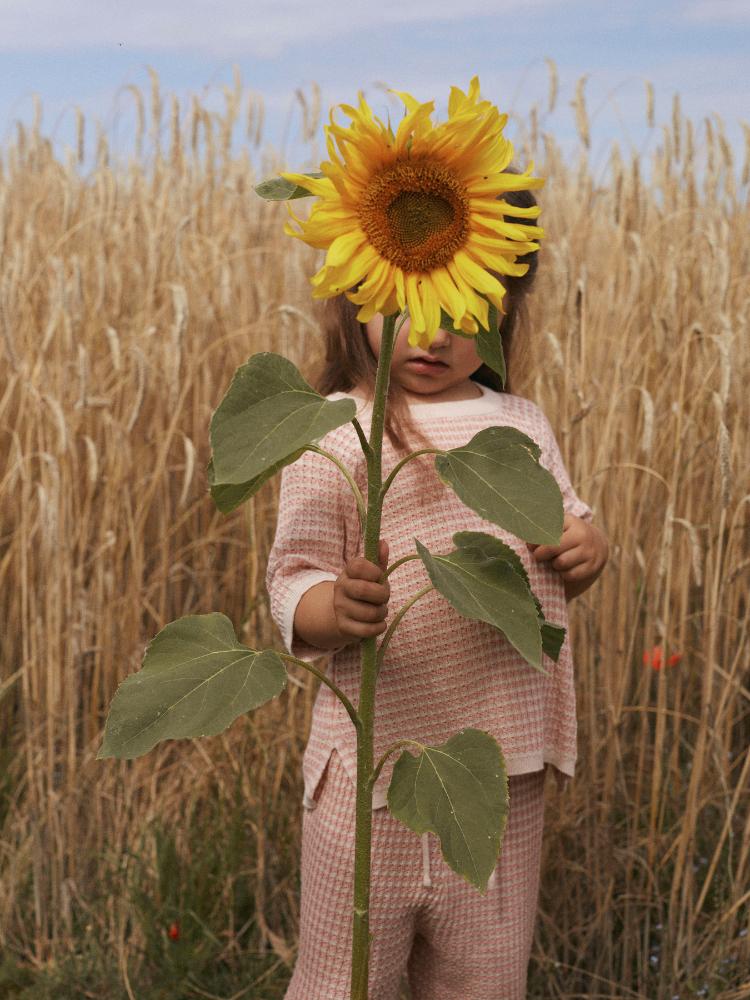 F_13243327_M_4755085_Detail