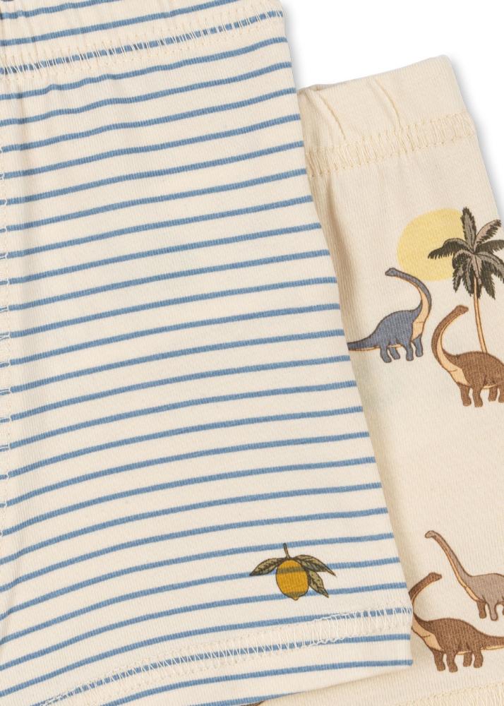 pack_ks103693-m00148_3