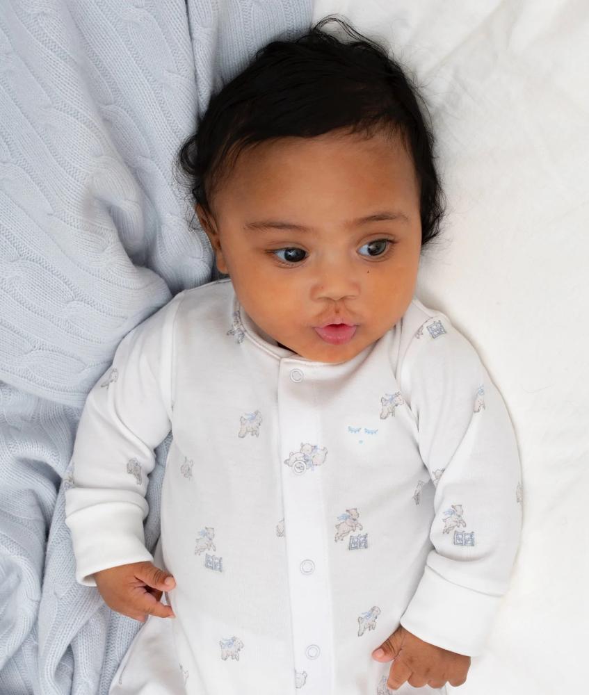 imgi_10_sheep_overall_LS