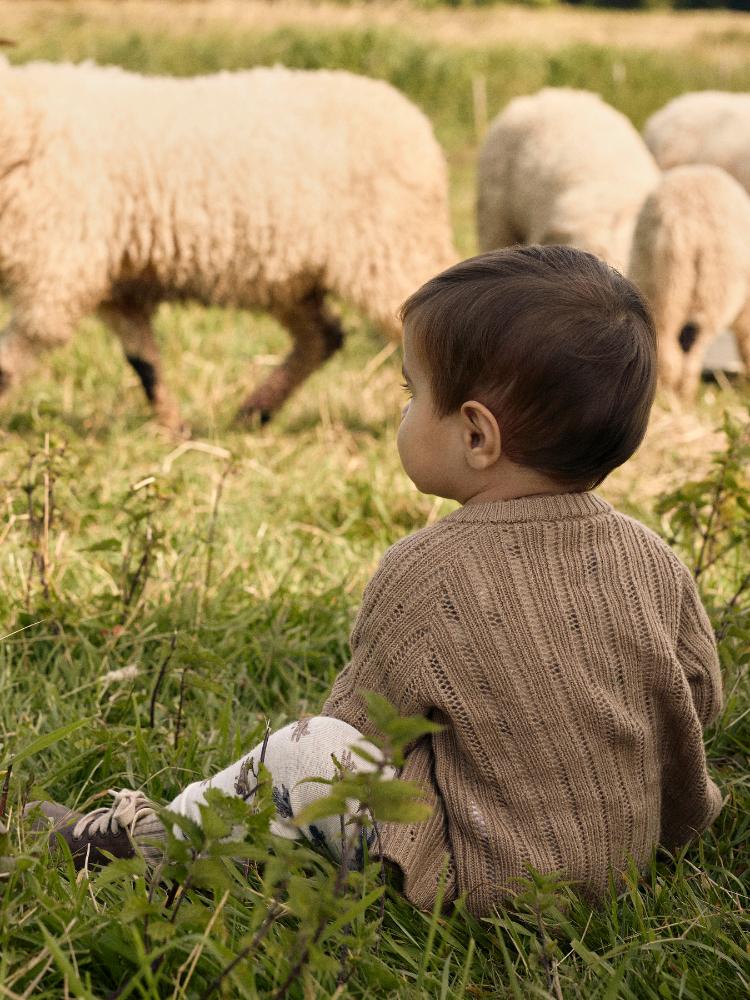 F_13242582_M_4746584_Detail