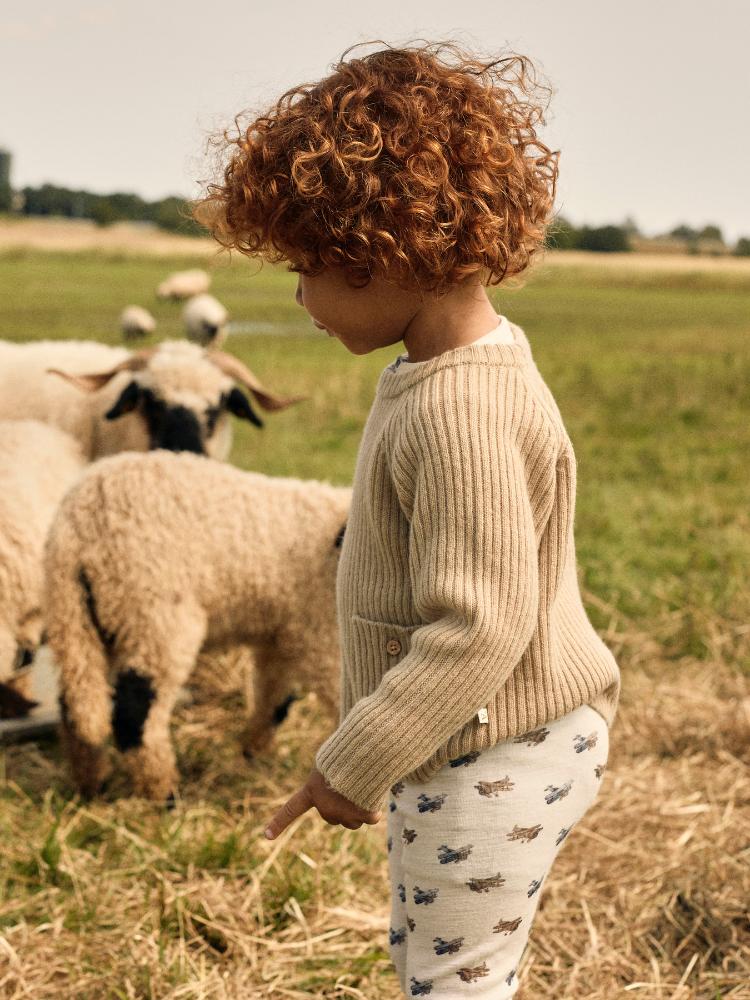 F_13242589_M_4746772_Detail