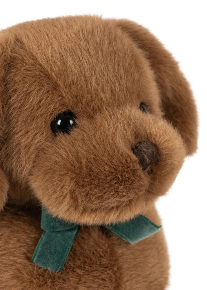 imgi_90_PACK_KS105189_S25146_4_250912031739