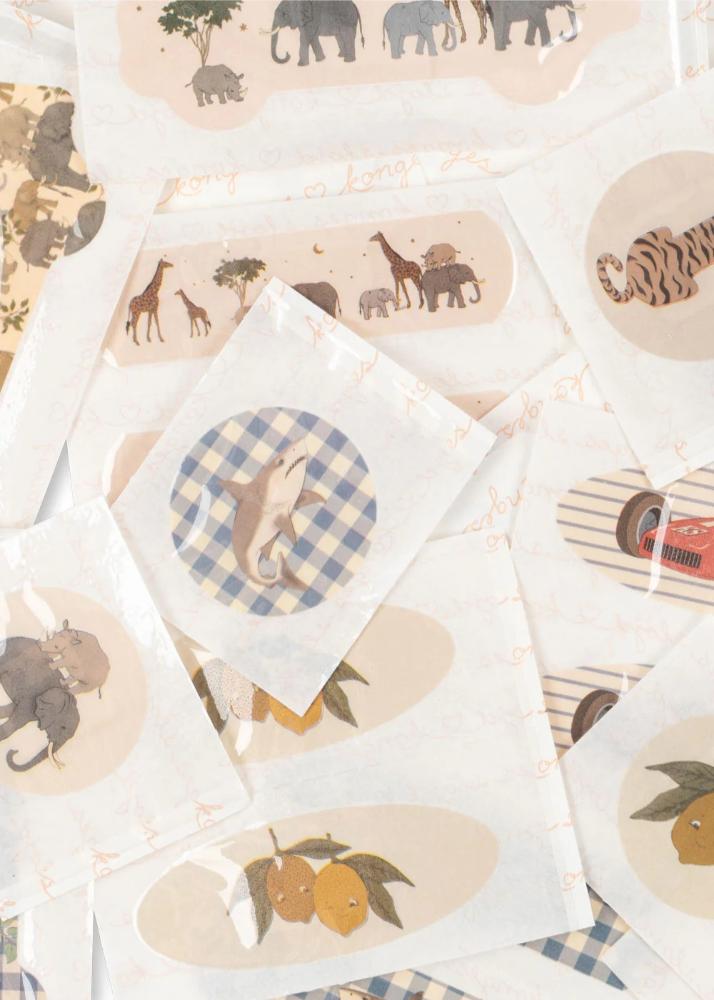 imgi_92_PACK_KS103123_S15009_6_250424091441