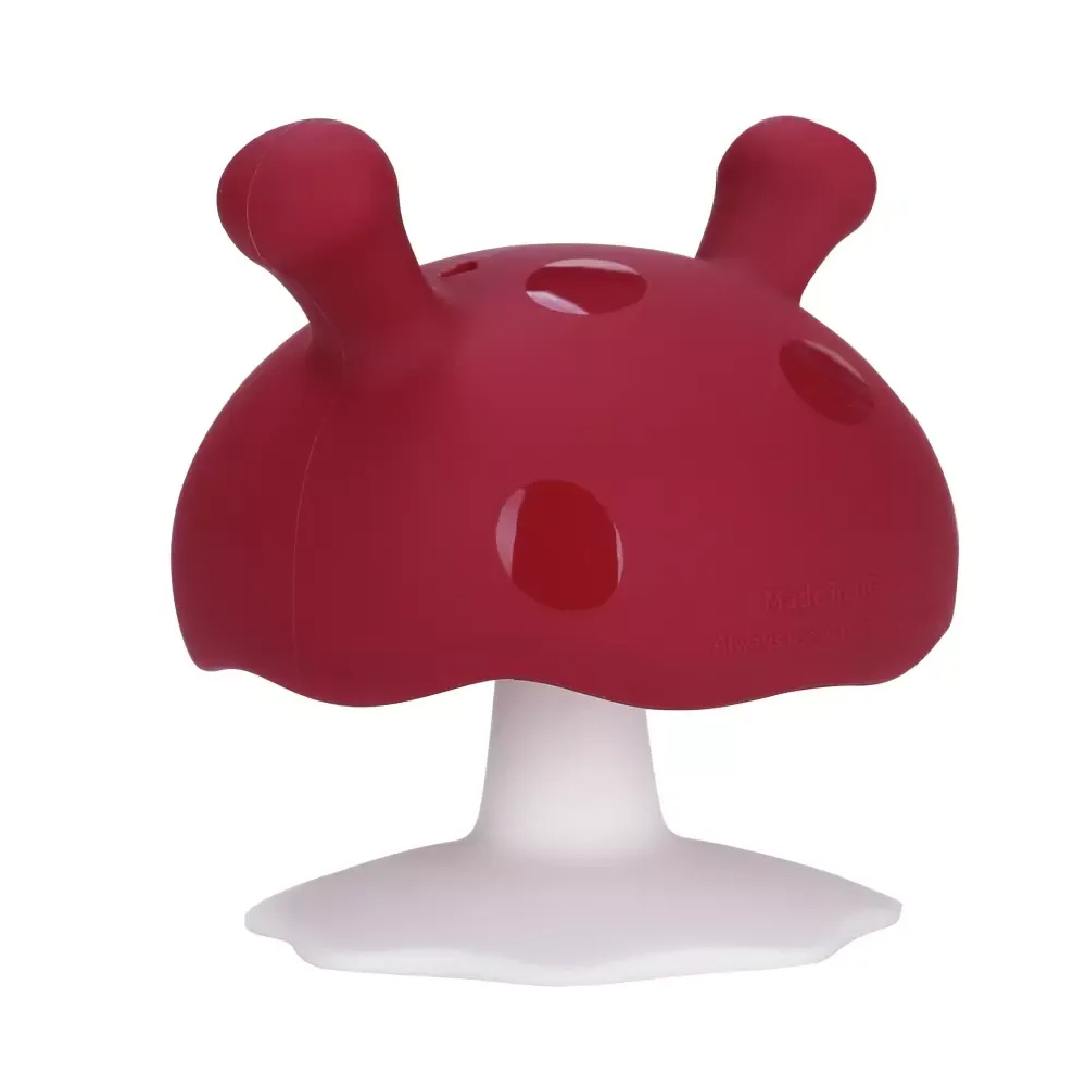 Blank 1000 x 1000 - 2026-01-04T213840.921