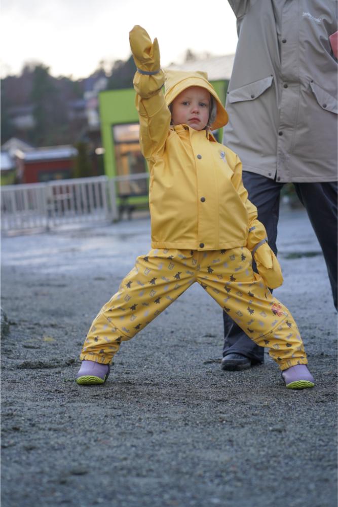 1451 Regnsett Plask56