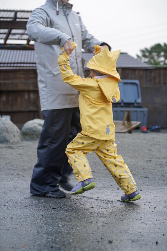 1451 Regnsett Plask82