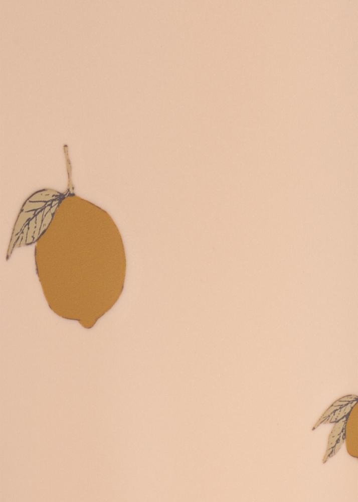 pack_ks104617-m00005_3