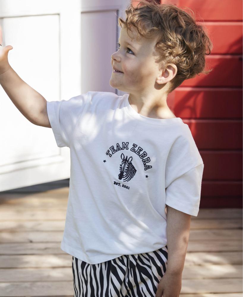 F2023 - SOMMER ZEBRA T-SHIRT - CLOUD DANCER - Extra 1