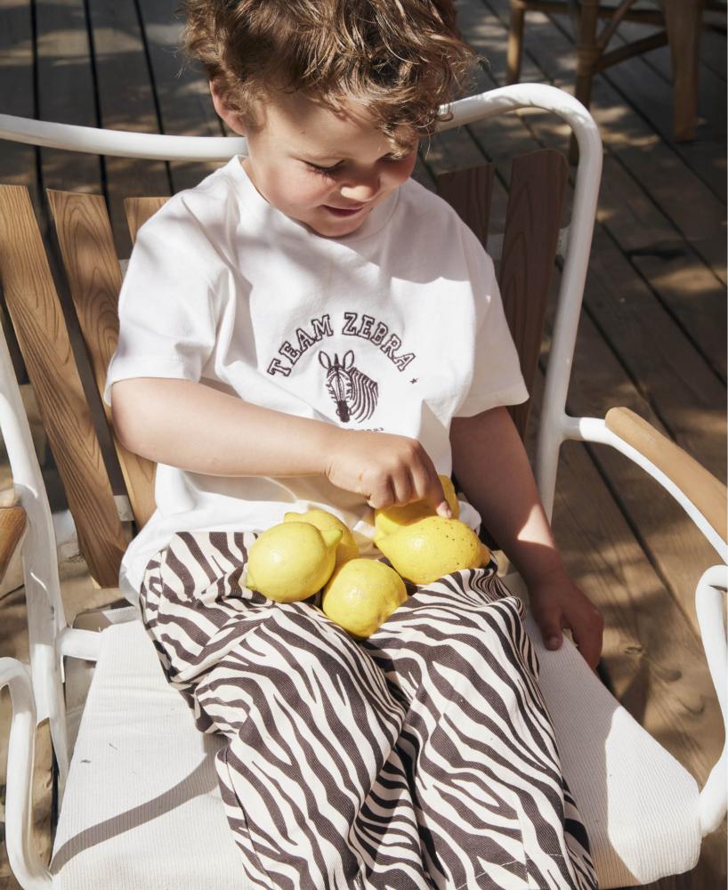 F2023 - SOMMER ZEBRA T-SHIRT - CLOUD DANCER - Extra 3