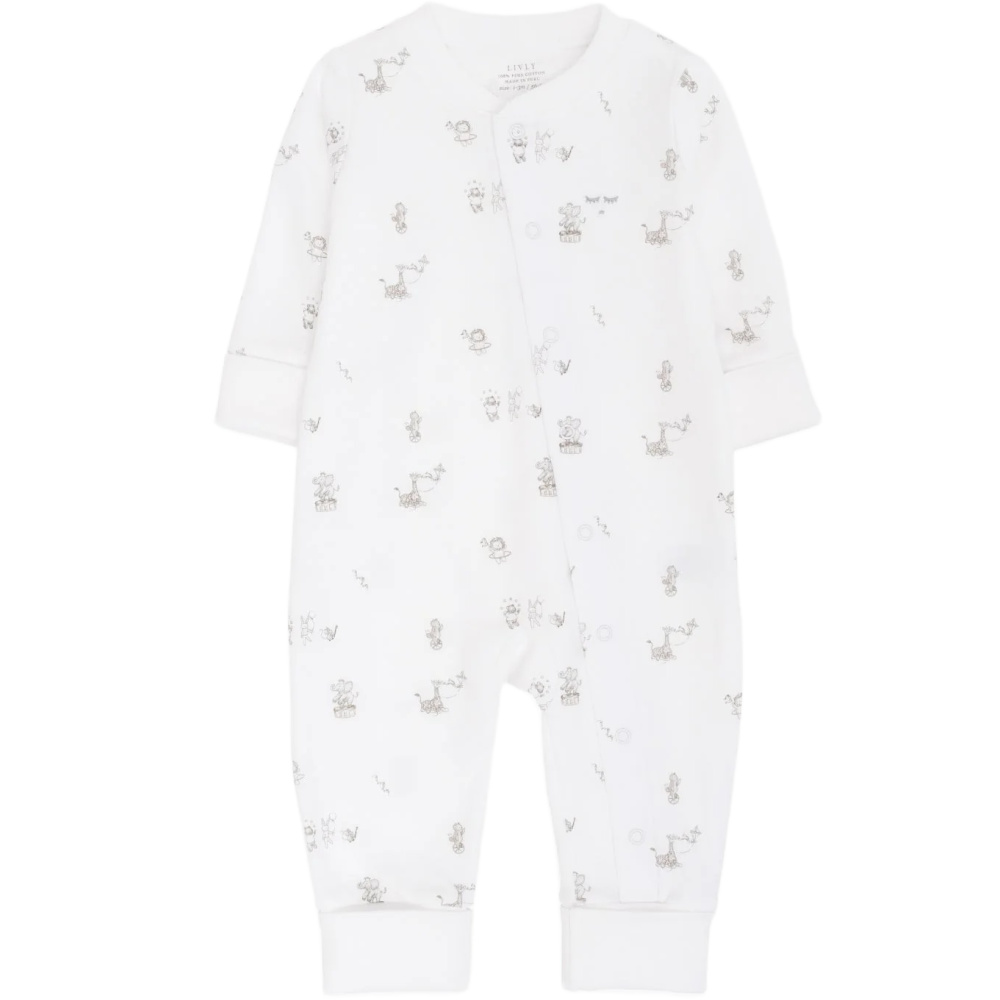 imgi_8_13010100_044050a4-c7f7-4eb1-af12-18150a938716