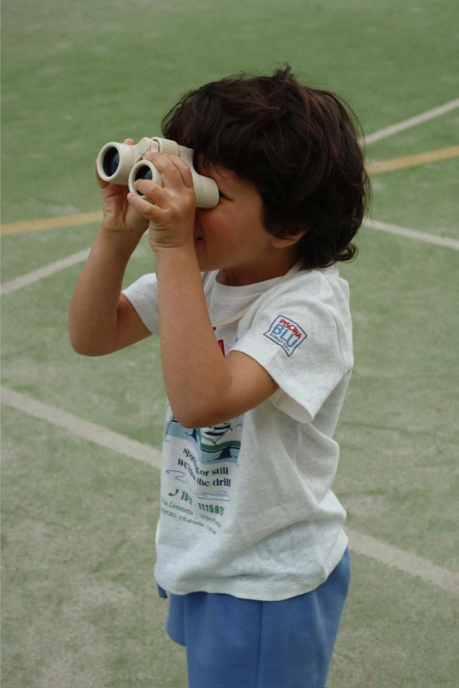 mood_ks104784-p10168_ks104796-p00039_ks104949-s15146_1