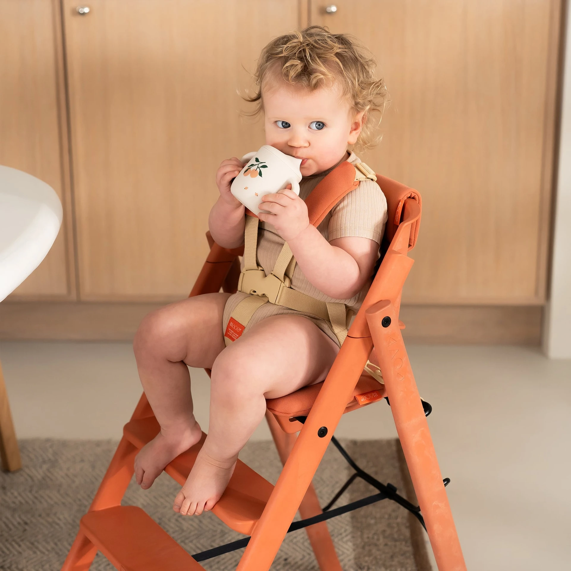 399_c34e572f4d-jrharness_cushion_terracottapink_lifestyle-1-zoom