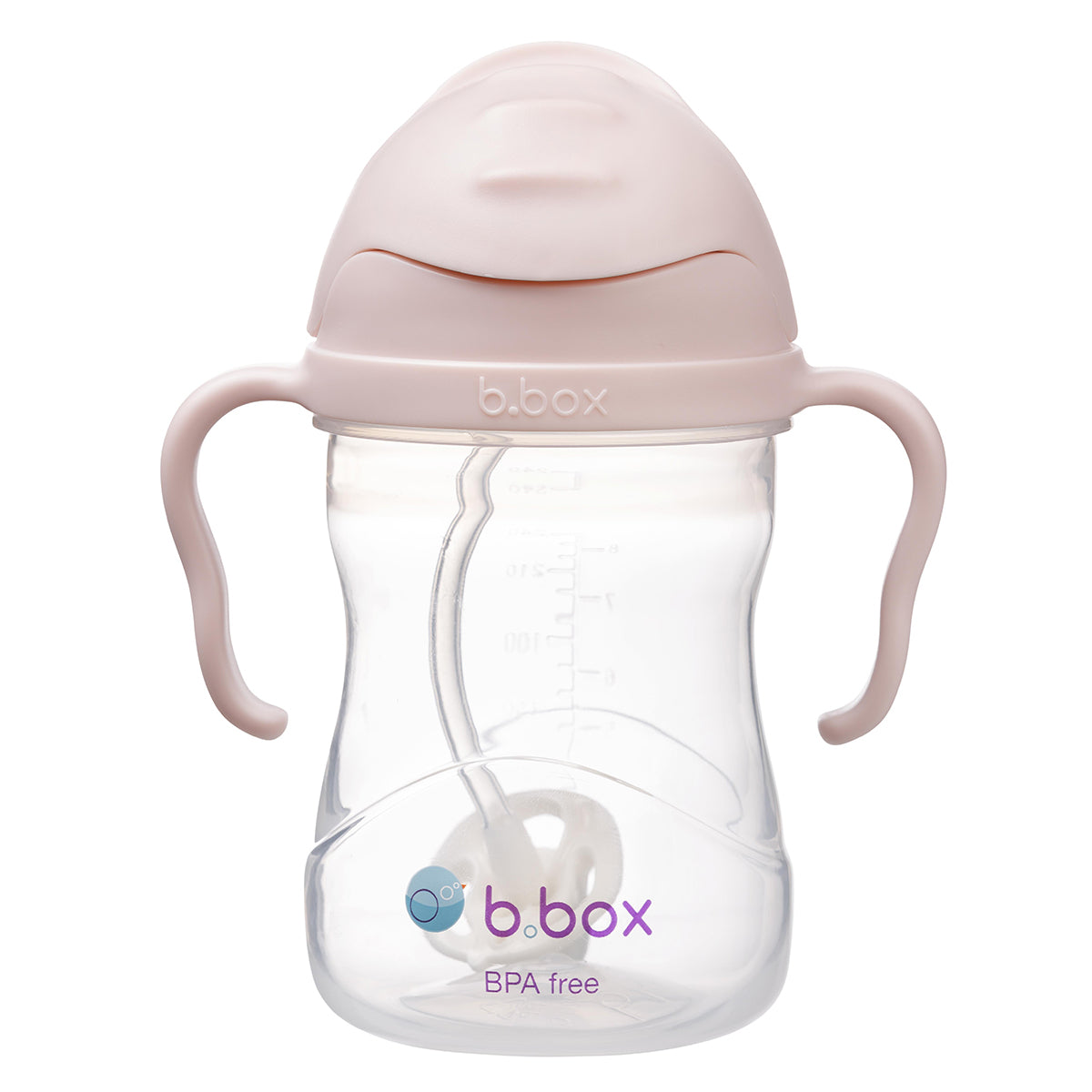 b.box-sippycup-blush-1.jpg