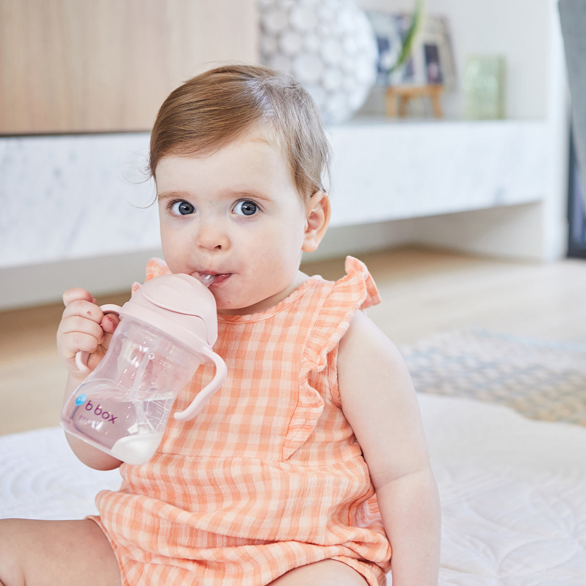 b.box-sippycup-blush-6.jpg