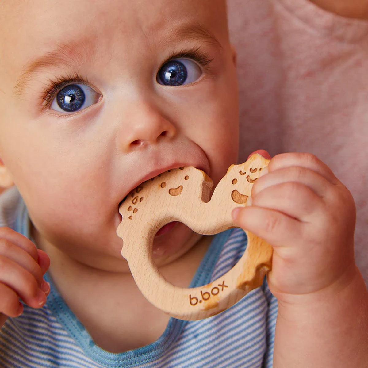 b.box-trio-teether-blush-4.jpg