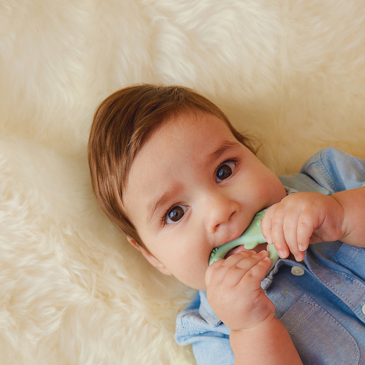 b.box-trio-teether-sage-4.jpg
