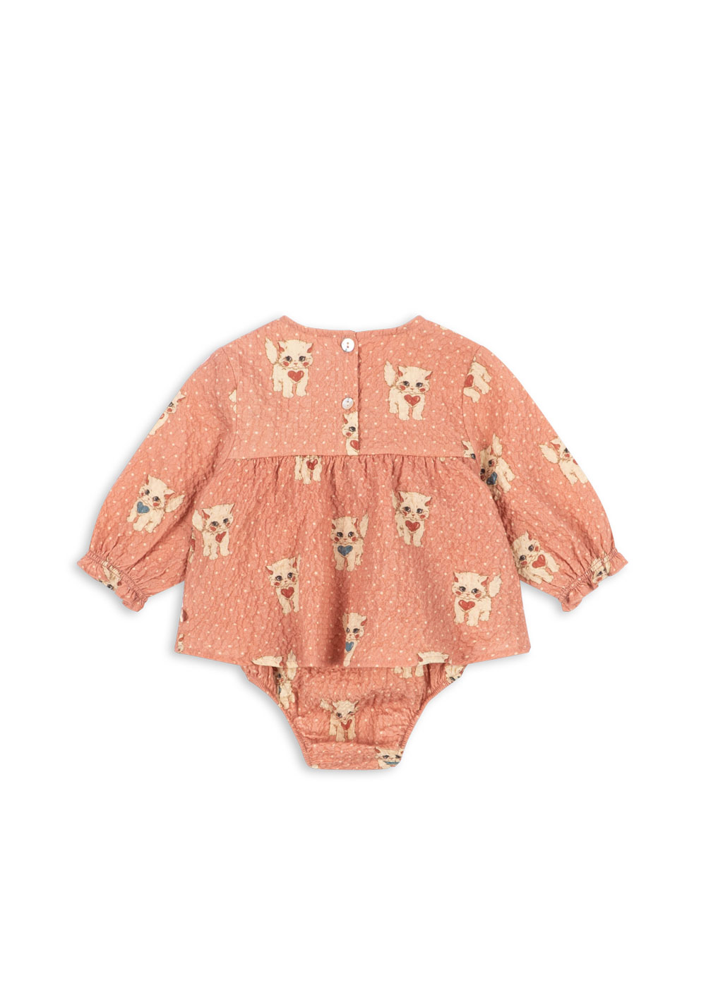 ks105981-ciao-miao-rose-26fa-12