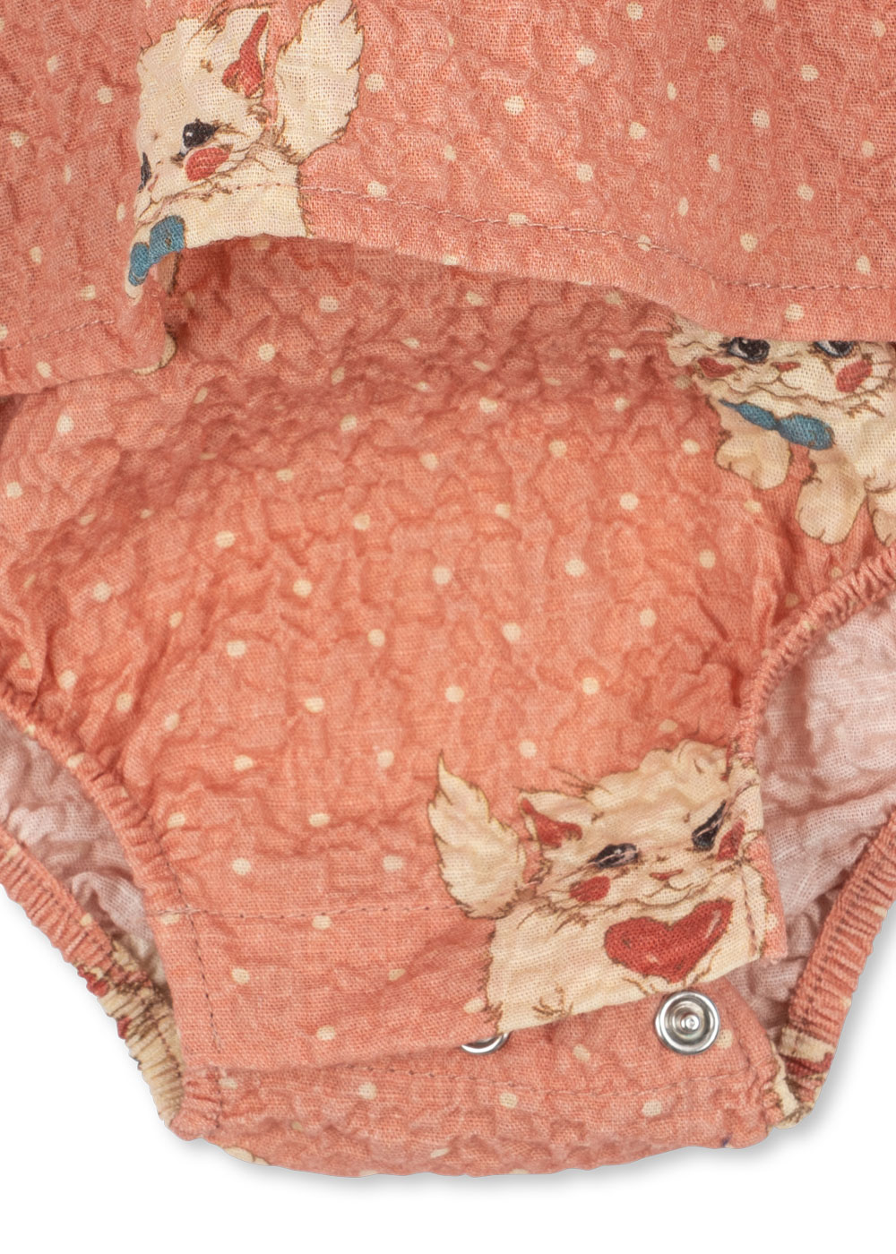 ks105981-ciao-miao-rose-26fa-20