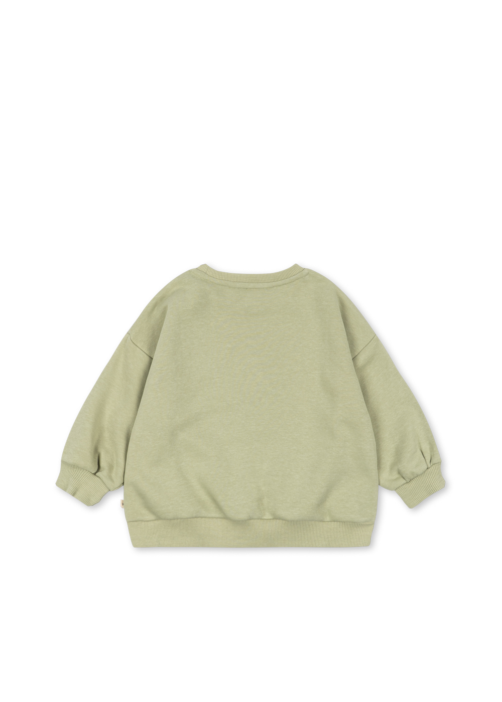 ks106107-sage-26fa-39