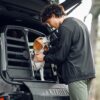 Thule Allax double L Compact hundebur
