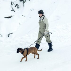 Thule Dart hundebånd langt 220 cm - dark slate