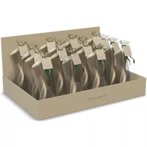 Fanga Fontana Baby Hairbrush Set 16 Pcs in Display - Beige