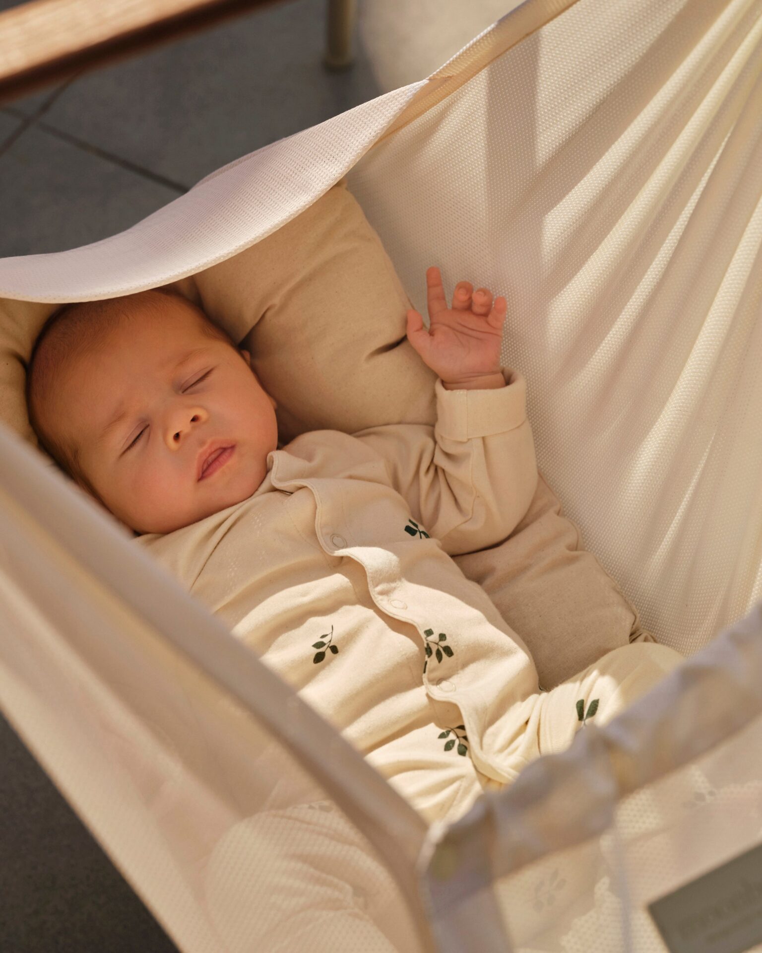Moonboon Classic Bundle Premium – Netting hengevugge